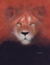 reve_de_lion_62